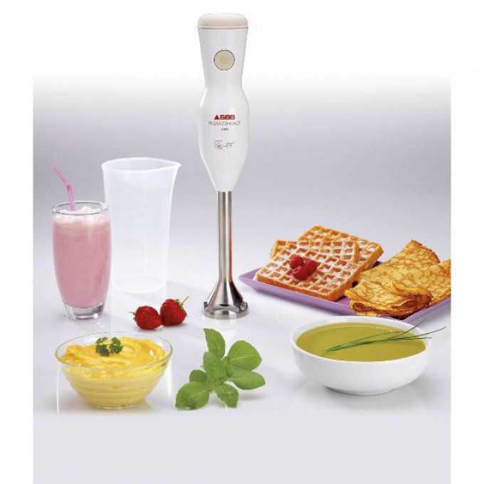 Préparation culinaire Mixeur SEB - HB4071
