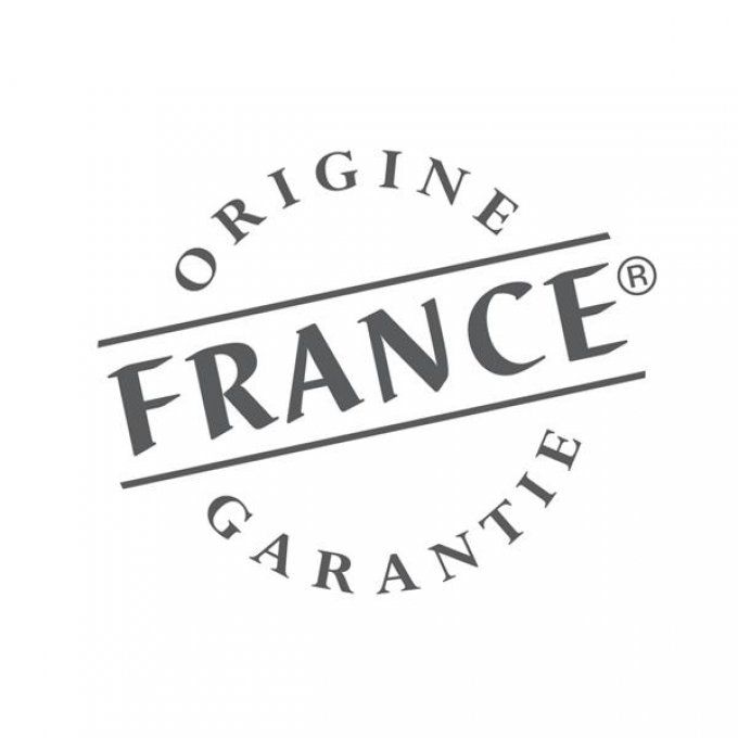 Préparation culinaire Mixeur MOULINEX - DD1001