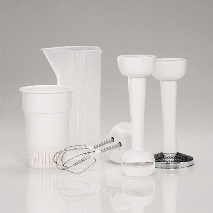 Préparation culinaire Mixeur MOULINEX - DDG10110