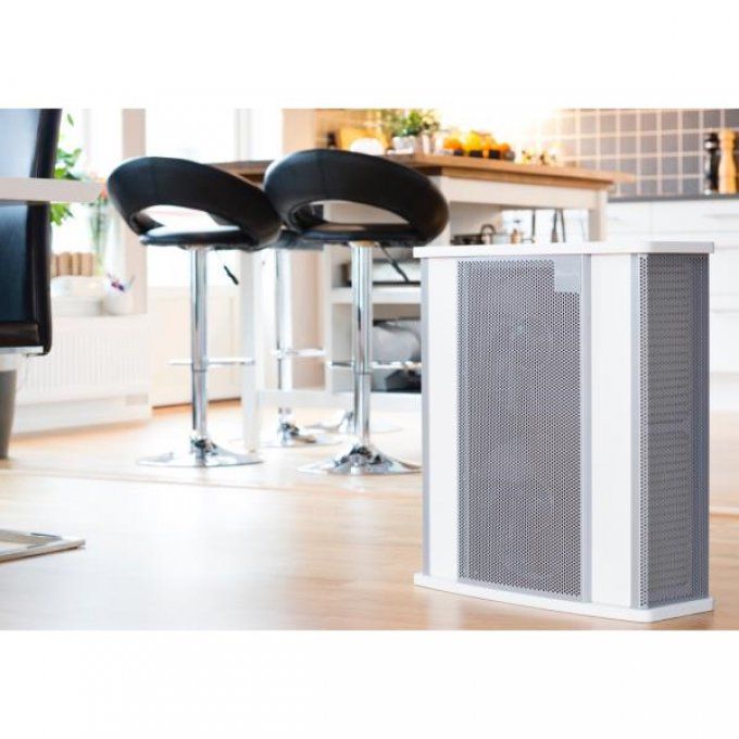 Purificateur d'air monofonction WOOD'S - WAP901-EU