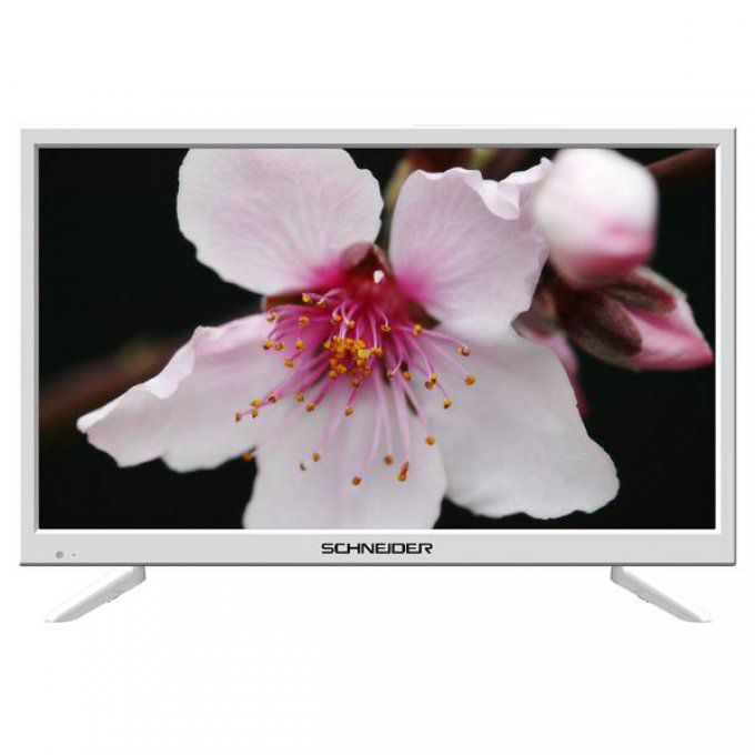 Téléviseur écran plat SCHNEIDER - LD24SCH13WHT